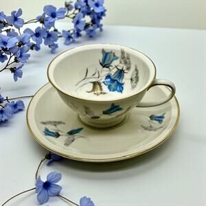 Rosenthal Winifred Teacup & Saucer Set-Germany Selb Porcelain Blue Floral-China